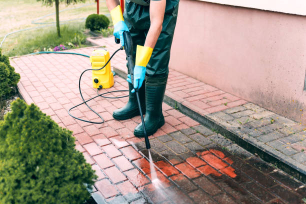 Best Solar Panel Cleaning  in Newstle, CA