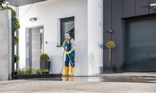 Best Building Exterior Washing  in Newstle, CA